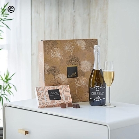 Prosecco and Chocolates Gift Set